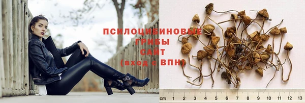 гидропоника Краснослободск