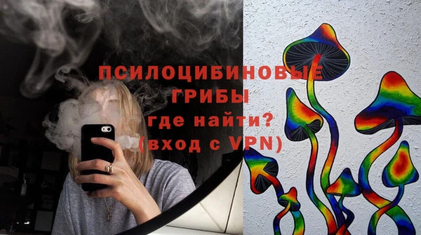 ГАЛЛЮЦИНОГЕННЫЕ ГРИБЫ Краснотурьинск
