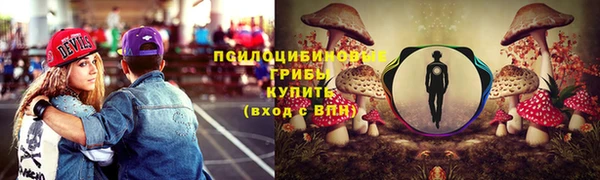ГАЛЛЮЦИНОГЕННЫЕ ГРИБЫ Краснотурьинск
