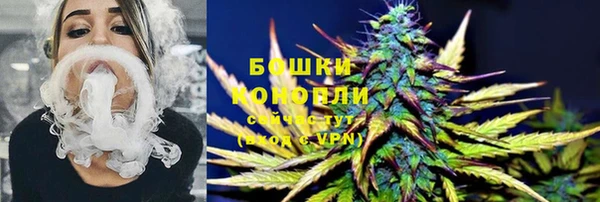 круглые Корсаков
