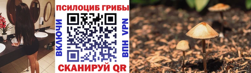 Галлюциногенные грибы Psilocybine cubensis  купить наркотик  Хадыженск 